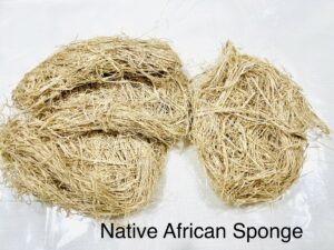 African Native Sponge